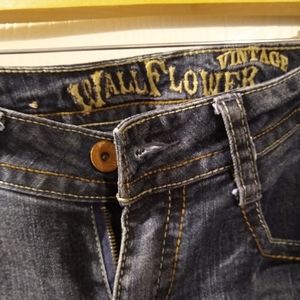 Vintage Wallflower Skinny Jeans